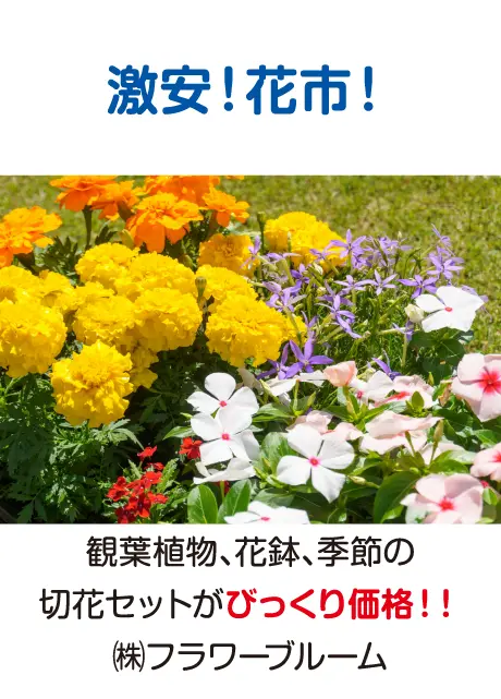 激安！花市！